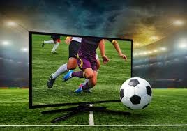 棒球与生物力学模型解析投手投球时核心肌群对能量传递的放大作用