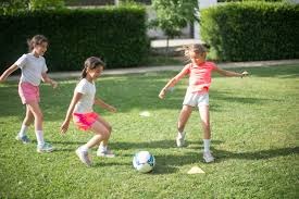 樊振东3-1户上隼辅五佳球：无排名小将 打懵日本男乒二哥