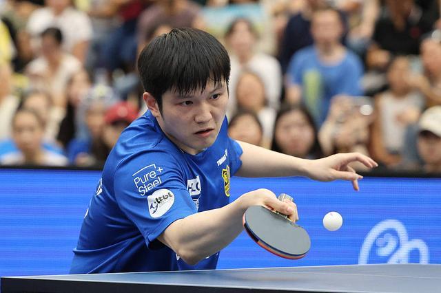 胆配一场博 胆配一场博