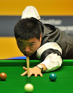 在全球羽毛 在全球羽毛